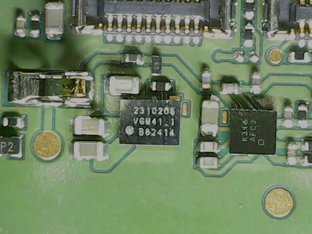 File:Unknown chips 3 and 4 on back of catfish.jpg