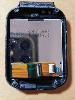 Back LCD of tetra