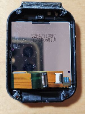 Back LCD of tetra